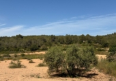 Finca rústica en venta en Tarragona ref: TR261630 foto