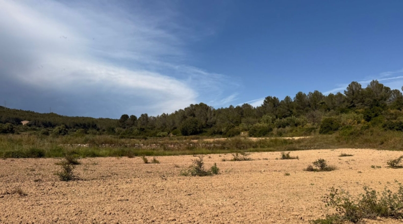 Tarragona - Tarragona - 85194m2