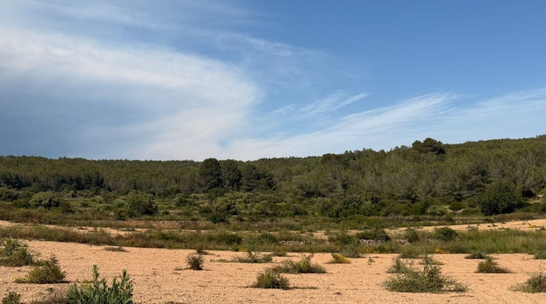 Tarragona - Tarragona - 85194m2