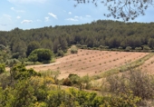 Finca rústica en venta en Tarragona ref: TR261630 foto