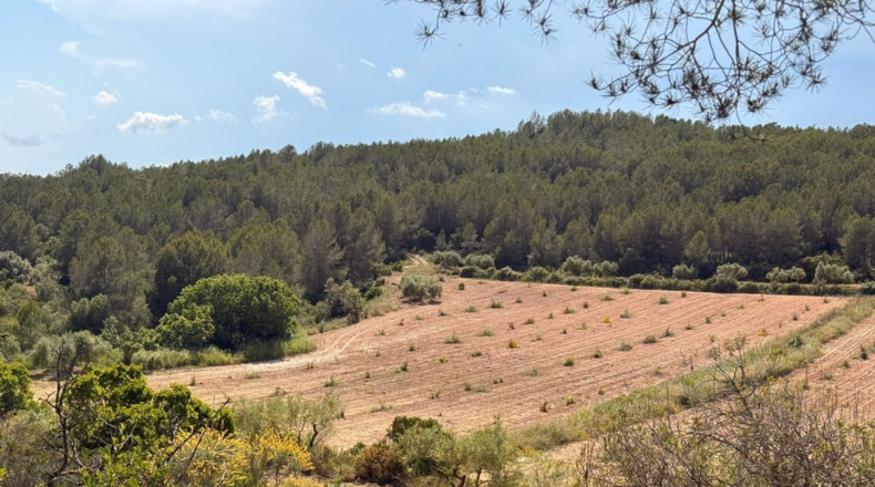 Tarragona - Tarragona - 85194m2