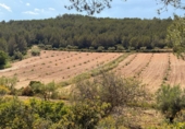 Finca rústica en venta en Tarragona ref: TR261630 foto