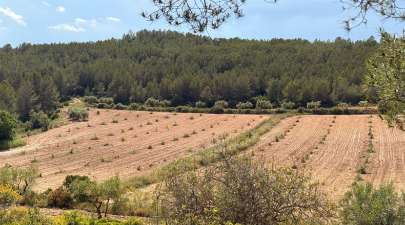 Tarragona - Tarragona - 85194m2