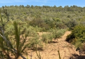 Finca rústica en venta en Tarragona ref: TR261630 foto