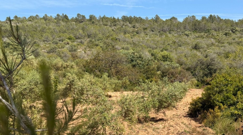 Tarragona - Tarragona - 85194m2