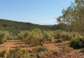 Finca rústica en venta en Tarragona ref: TR261630 foto