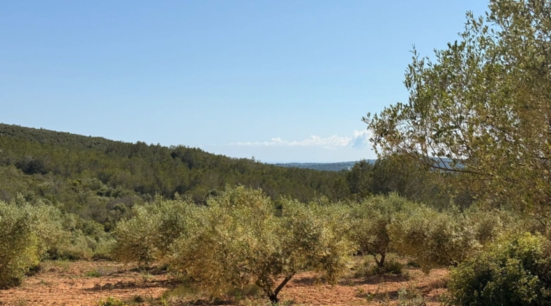 Tarragona - Tarragona - 85194m2