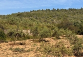 Finca rústica en venta en Tarragona ref: TR261630 foto