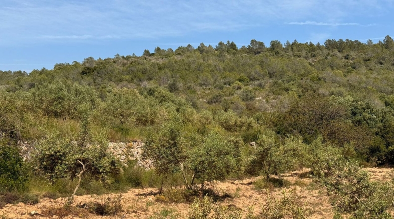 Tarragona - Tarragona - 85194m2