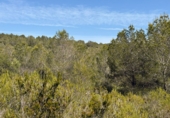 Finca rústica en venta en Tarragona ref: TR261630 foto