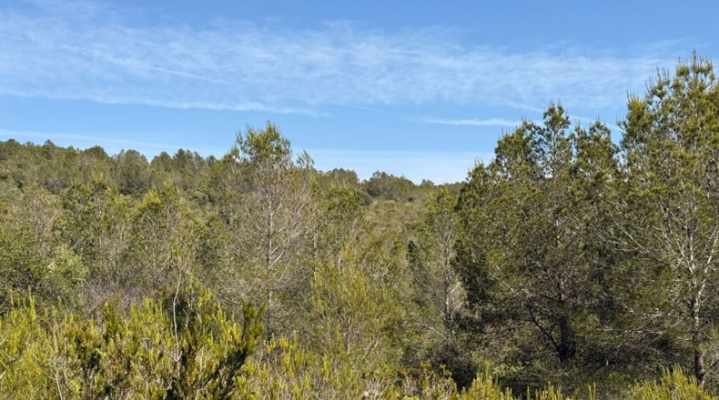 Tarragona - Tarragona - 85194m2