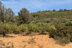 Foto 18