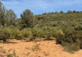 Finca rústica en venta en Tarragona ref: TR261630 foto