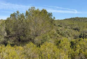 Foto 16