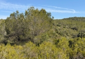 Finca rústica en venta en Tarragona ref: TR261630 foto