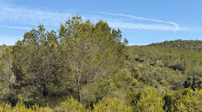 Tarragona - Tarragona - 85194m2