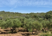 Finca rústica en venta en Tarragona ref: TR261630 foto