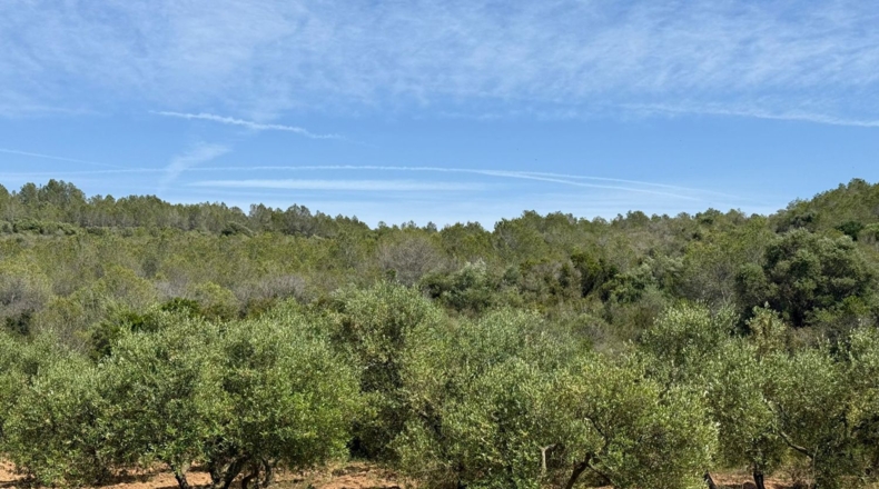 Tarragona - Tarragona - 85194m2