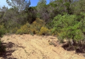 Finca rústica en venta en Tarragona ref: TR261630 foto