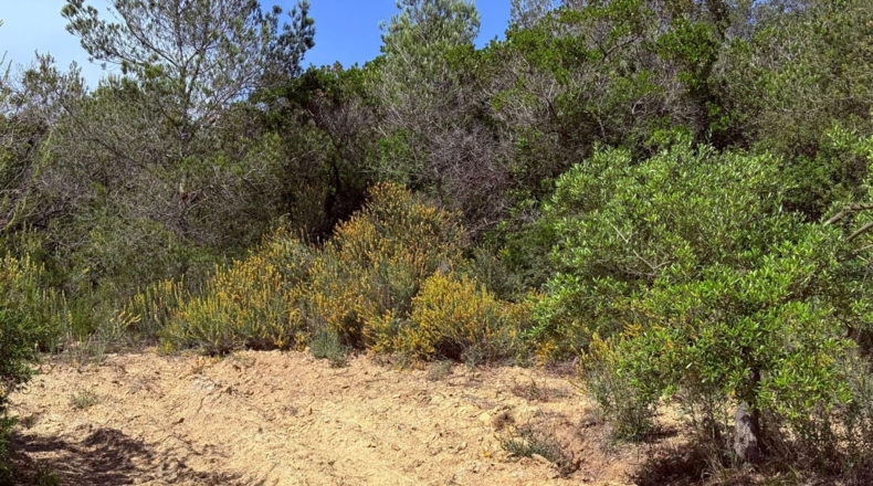 Tarragona - Tarragona - 85194m2