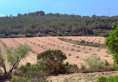 Finca rústica en venta en Tarragona ref: TR261630 foto