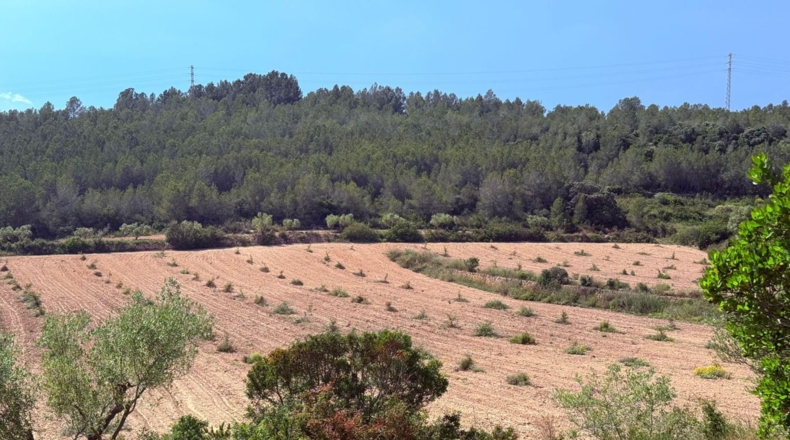 Tarragona - Tarragona - 85194m2