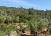 Finca rústica en venta en Tarragona ref: TR261630 foto