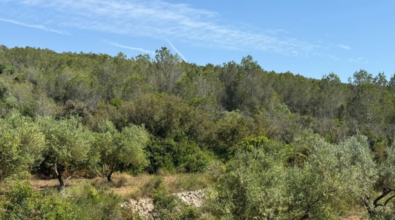 Tarragona - Tarragona - 85194m2