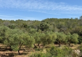 Finca rústica en venta en Tarragona ref: TR261630 foto