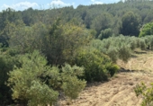 Finca rústica en venta en Tarragona ref: TR261630 foto