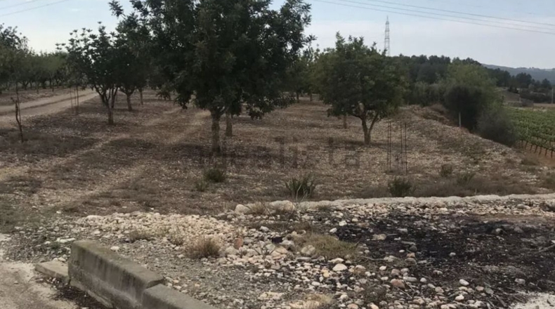 Tarragona - l'Arboç - 3500m2
