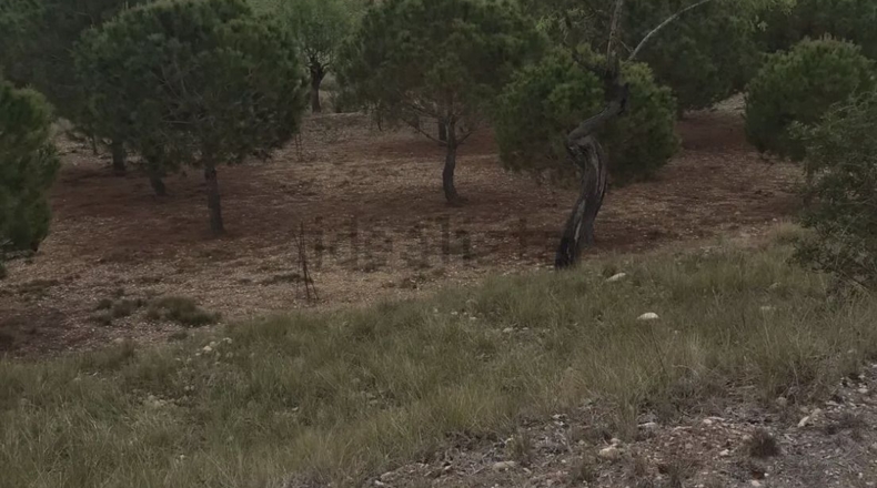 Tarragona - l'Arboç - 3500m2