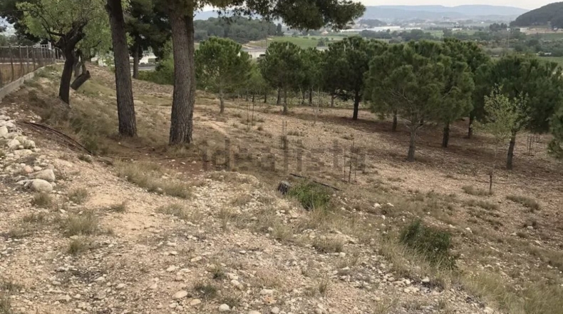 Tarragona - l'Arboç - 3500m2