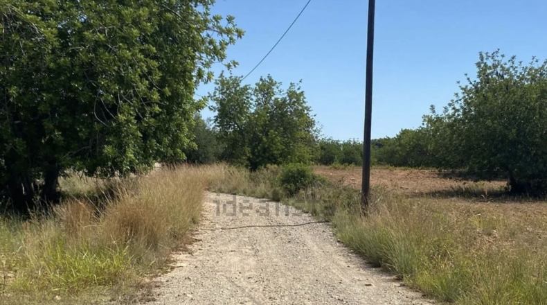 Tarragona - Roda de Berà - 42037m2