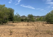 Terreno no urbanizable en venta en Roda de Berà ref: TR307290 foto