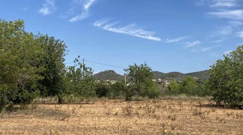 Tarragona - Roda de Berà - 42037m2