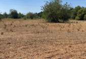 Terreno no urbanizable en venta en Roda de Berà ref: TR307290 foto