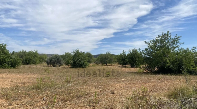 Tarragona - Roda de Berà - 42037m2