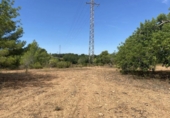 Terreno no urbanizable en venta en Roda de Berà ref: TR307290 foto