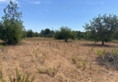 Terreno no urbanizable en venta en Roda de Berà ref: TR307290 foto