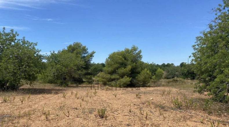 Tarragona - Roda de Berà - 42037m2