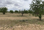 Non-developable land for sale in el Pla de Santa Maria ref: TR307291 photo