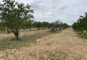 Non-developable land for sale in el Pla de Santa Maria ref: TR307291 photo
