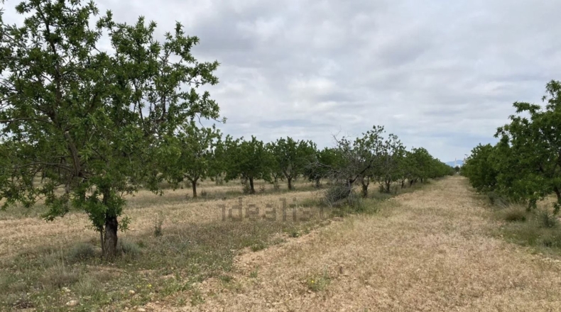 Tarragona - Пла-де-Санта-Мария - 10000m2