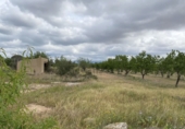 Non-developable land for sale in el Pla de Santa Maria ref: TR307291 photo