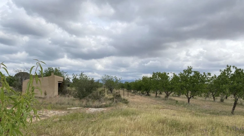 Tarragona - Пла-де-Санта-Мария - 10000m2