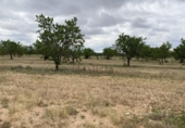 Non-developable land for sale in el Pla de Santa Maria ref: TR307291 photo