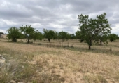 Non-developable land for sale in el Pla de Santa Maria ref: TR307291 photo