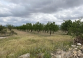 Non-developable land for sale in el Pla de Santa Maria ref: TR307291 photo