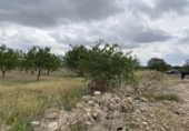 Non-developable land for sale in el Pla de Santa Maria ref: TR307291 photo